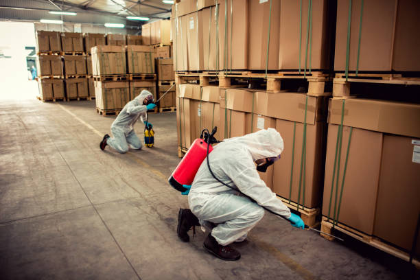 Wasp Removal Services in Town Creek, AL