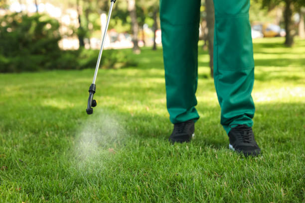Best Wasp Removal Services  in Town Creek, AL