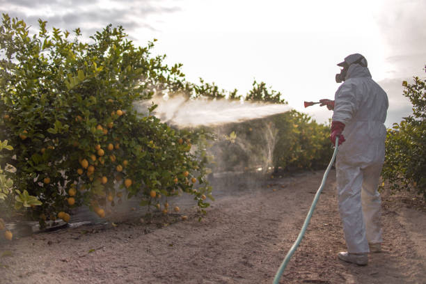Pest Prevention Services in Town Creek, AL