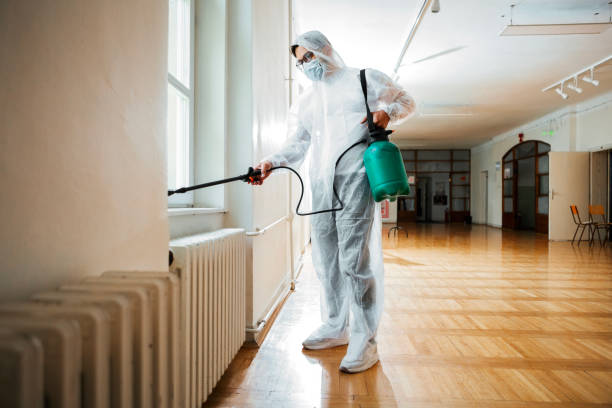 Best Wasp Removal Services  in Town Creek, AL