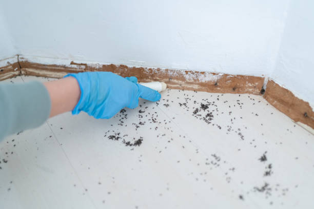 Best Best Pest Control Companies  in Town Creek, AL