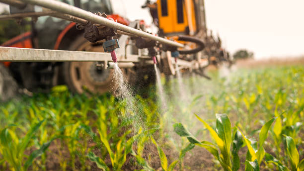 Pest Control Cost in Town Creek, AL